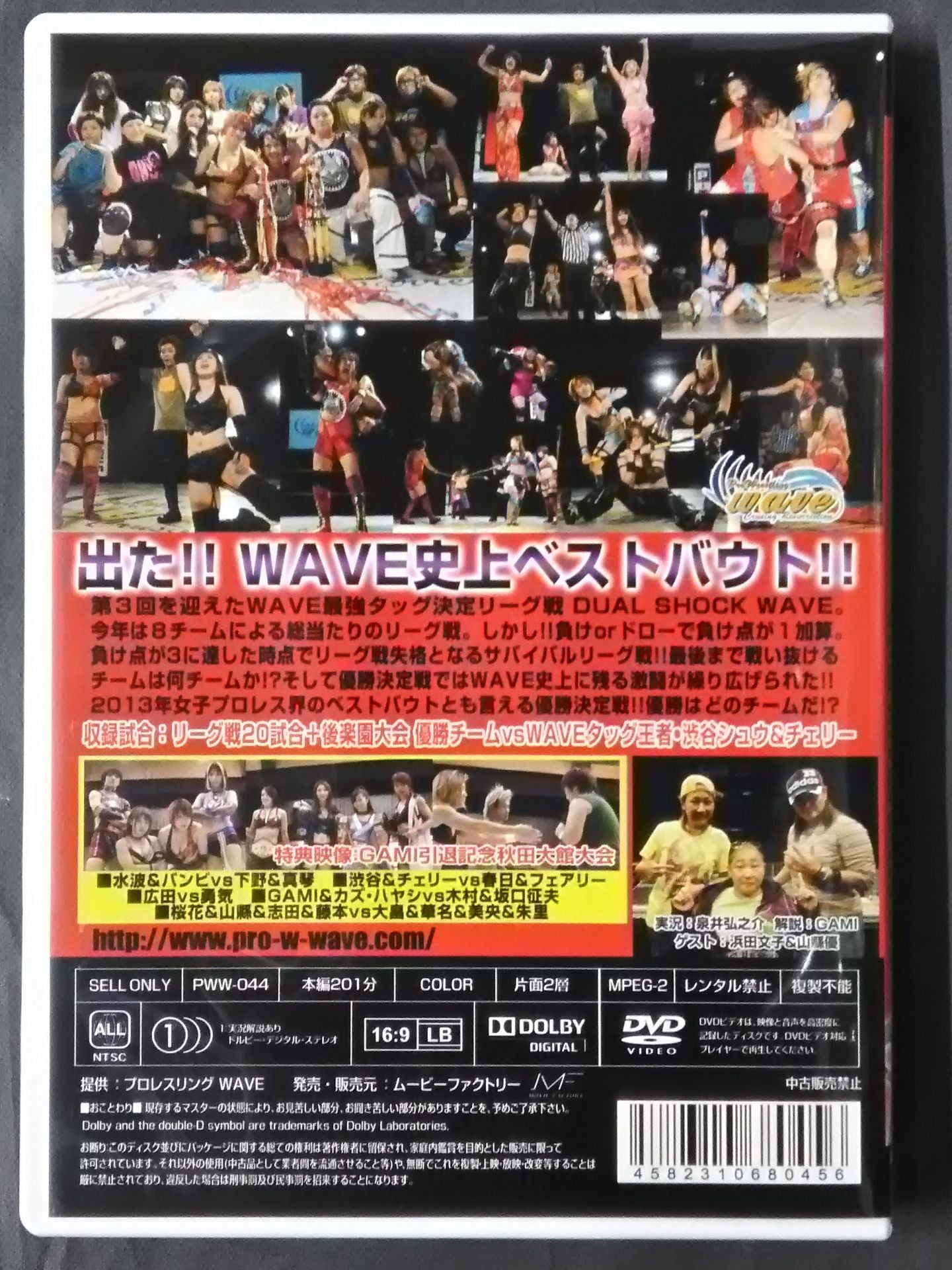 プロレスリングWAVE 最強タッグ決定リーグ戦 DUAL SHOCK WAVE 2013
