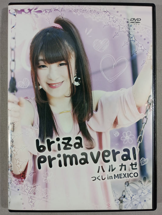 briza Primaveral ハルカゼ つくし