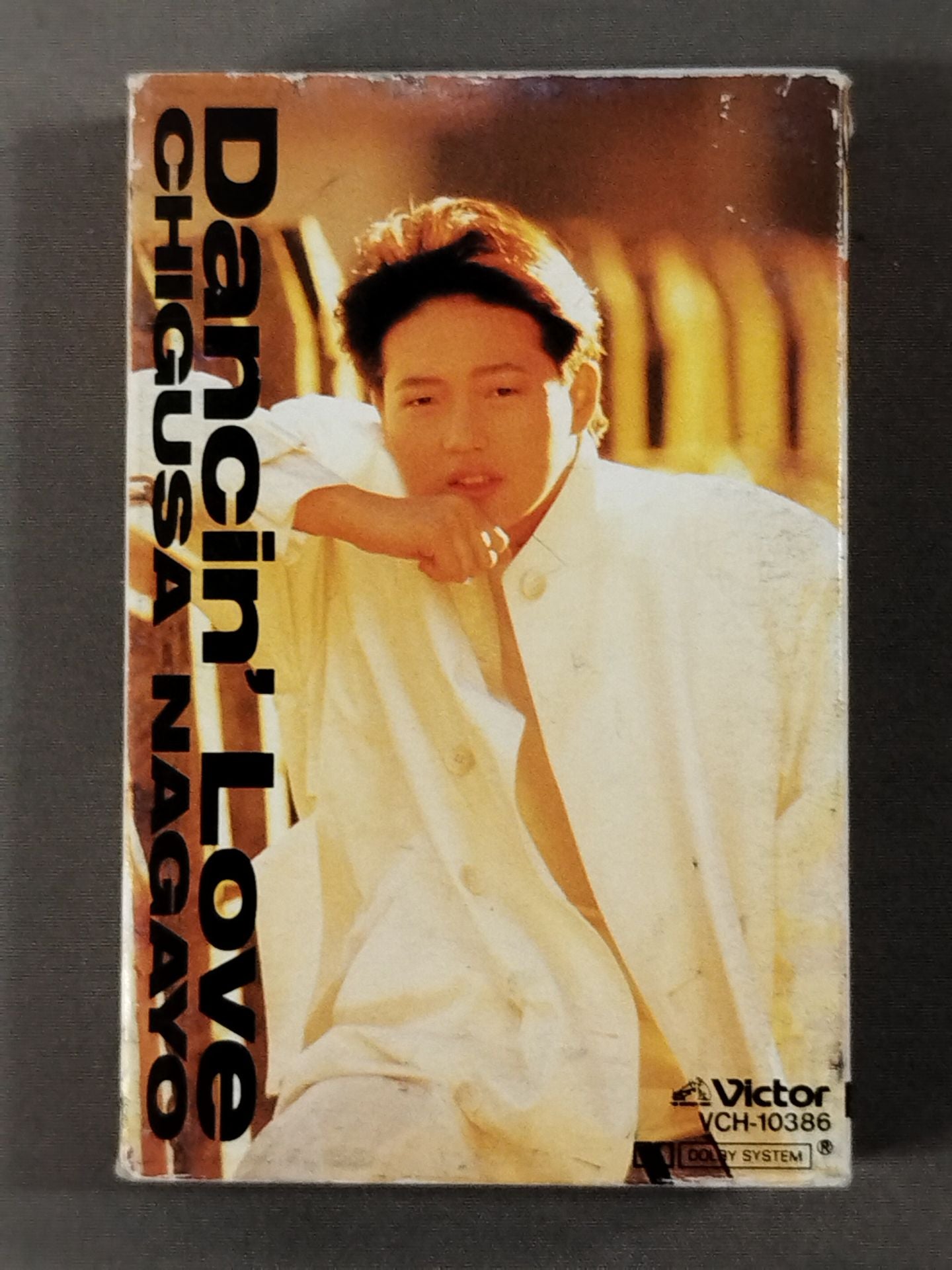 Danshin Love / Chigusa Nagayo