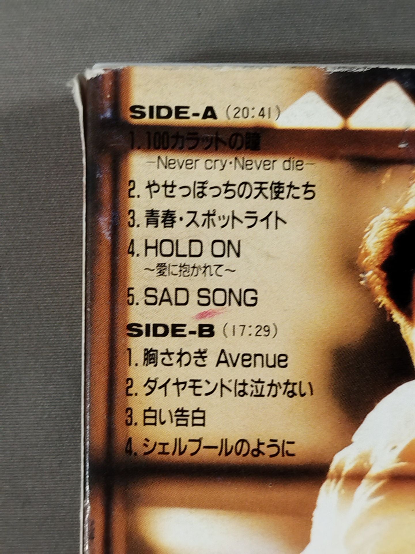 Danshin Love / Chigusa Nagayo
