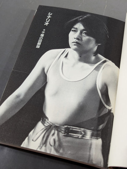フォトシナリオ リング・リング・リング 涙のチャンピオンベルト