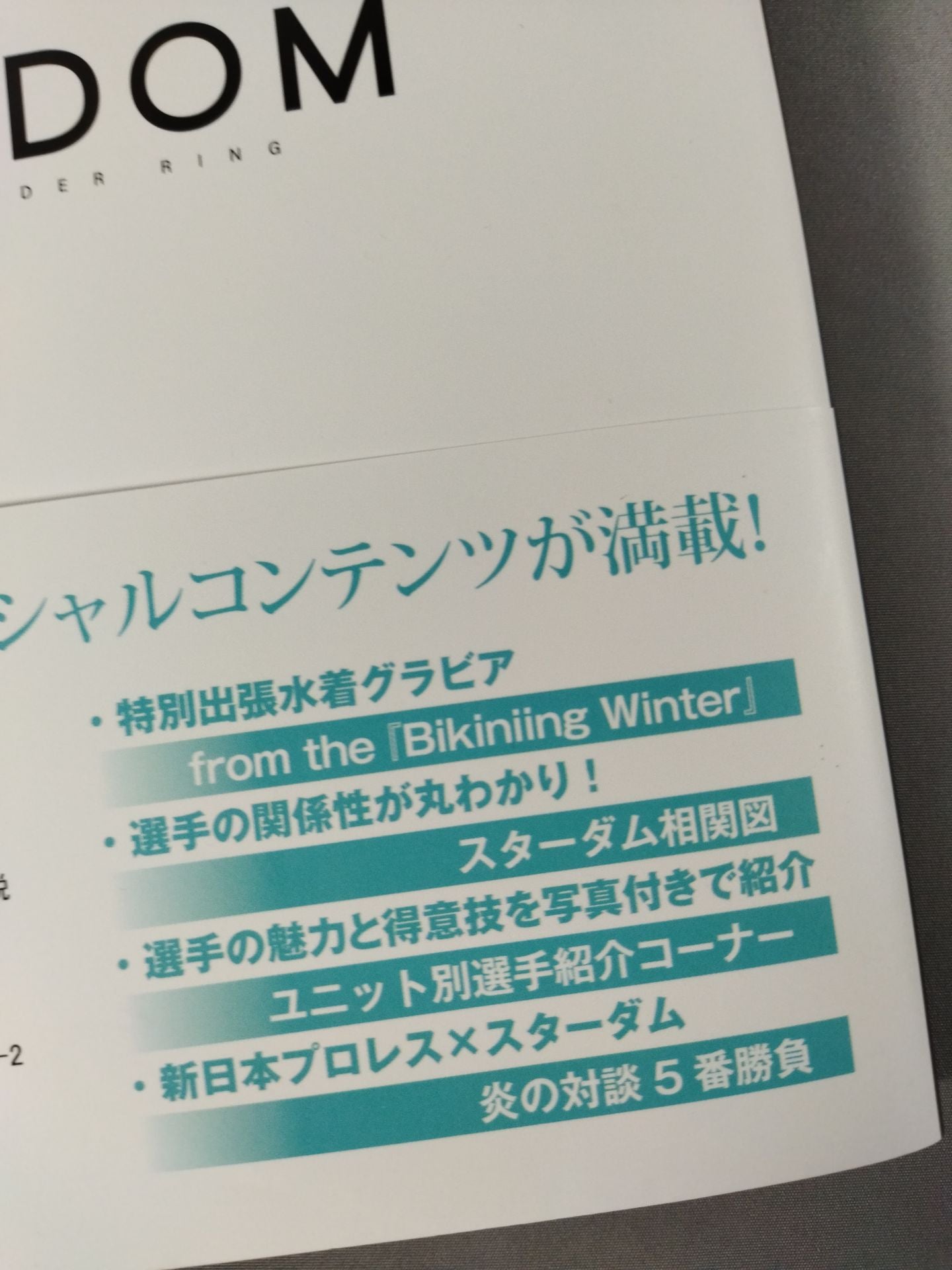 STARDOM FANBOOK