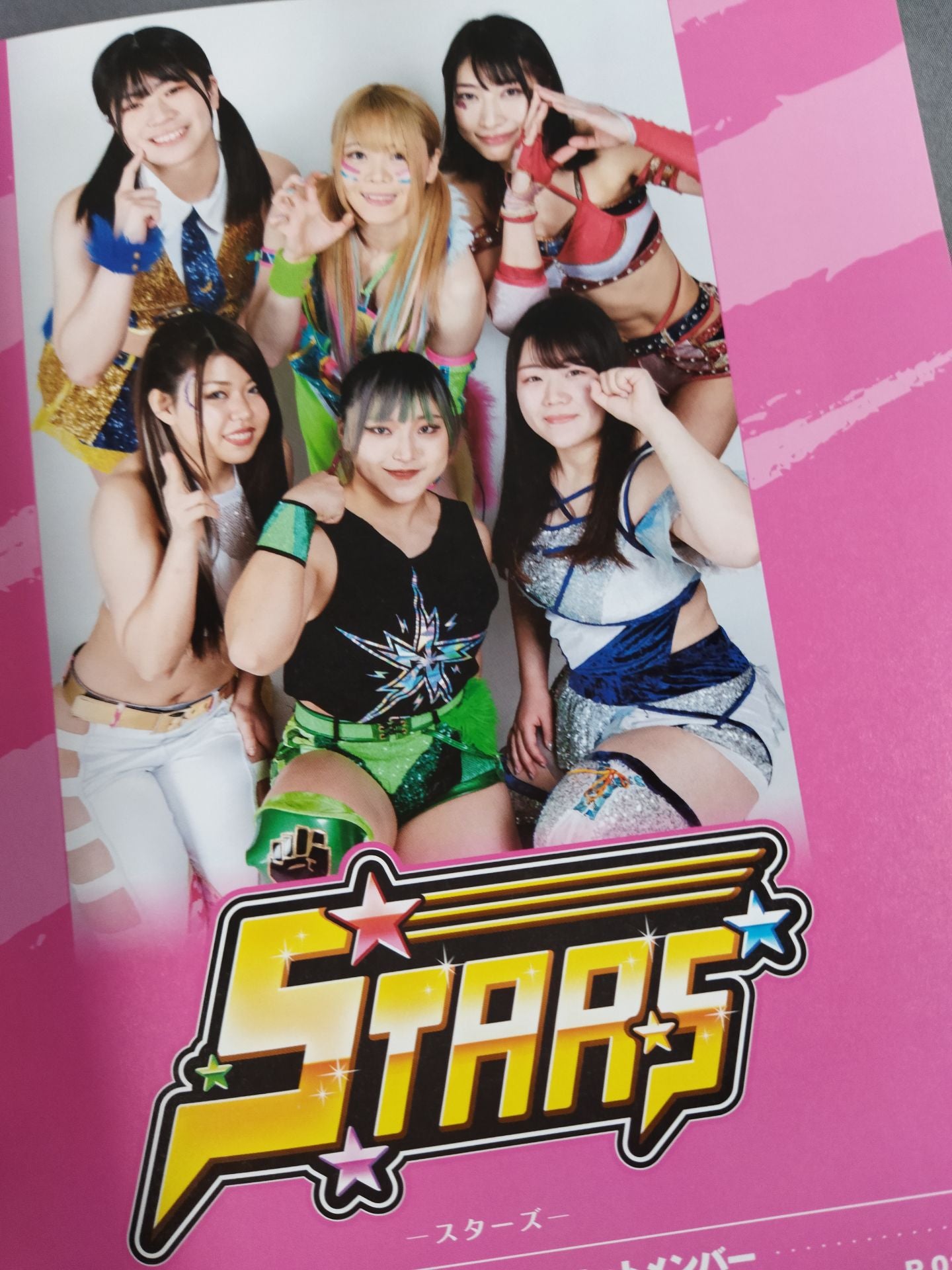 STARDOM FANBOOK