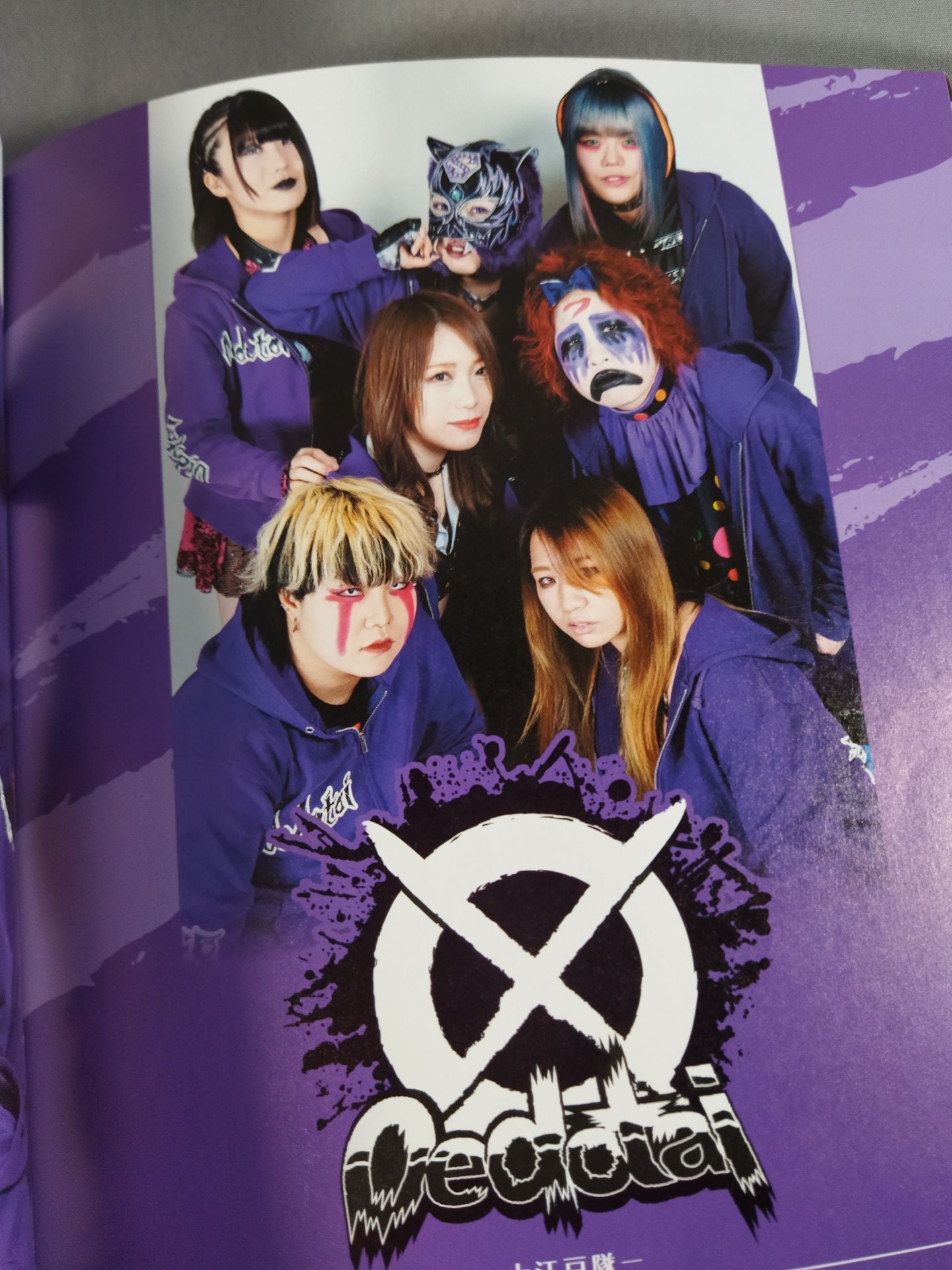 STARDOM FANBOOK