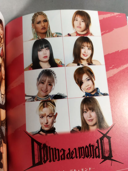 STARDOM FANBOOK