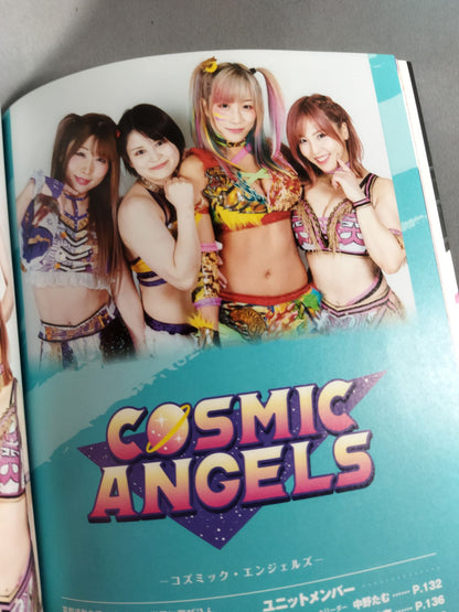 STARDOM FANBOOK