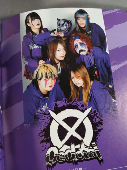 スターダム ファンブック / STARDOM FANBOOK