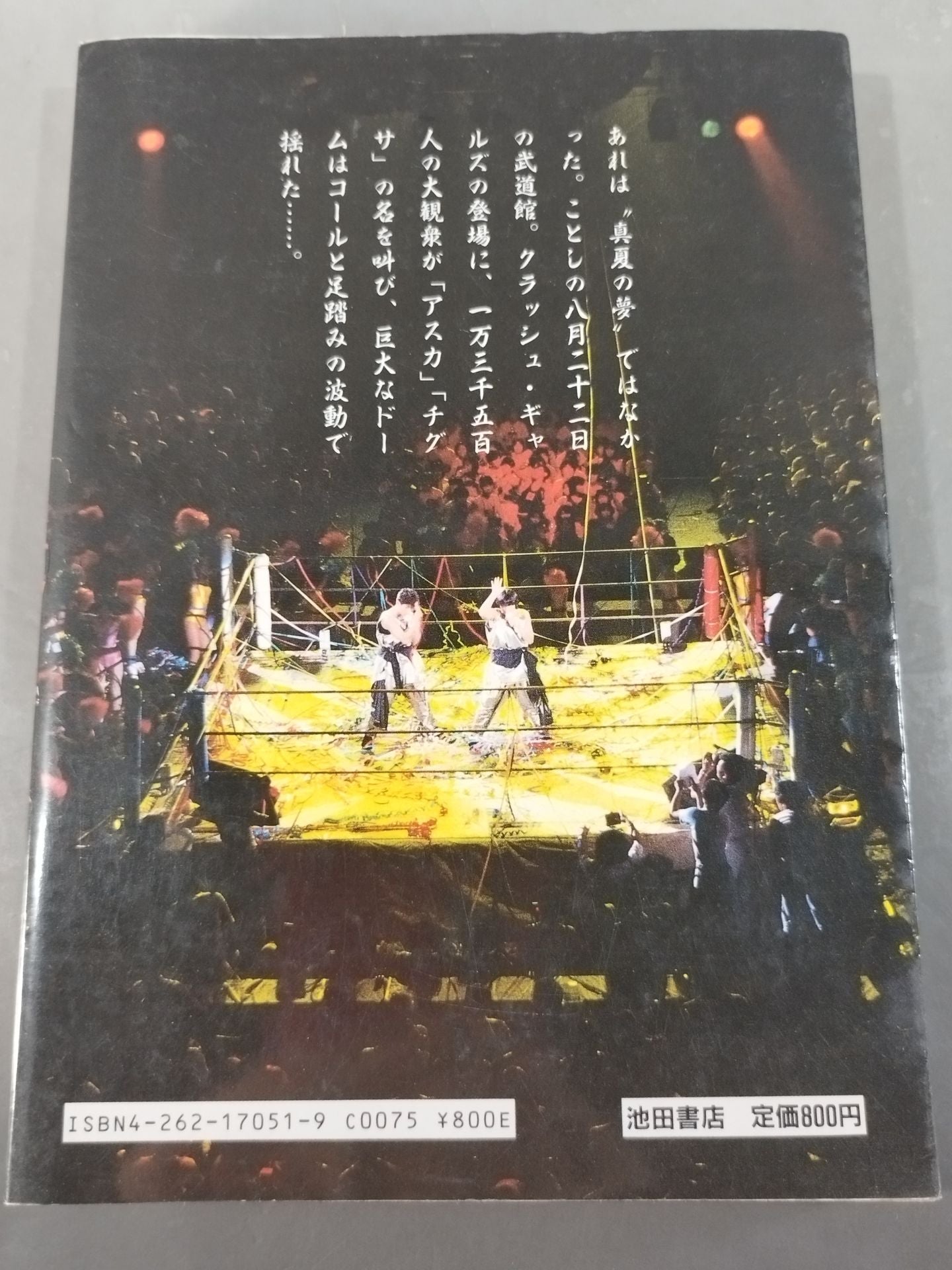 Women's Pro Wrestling Story Warrior of the Ring