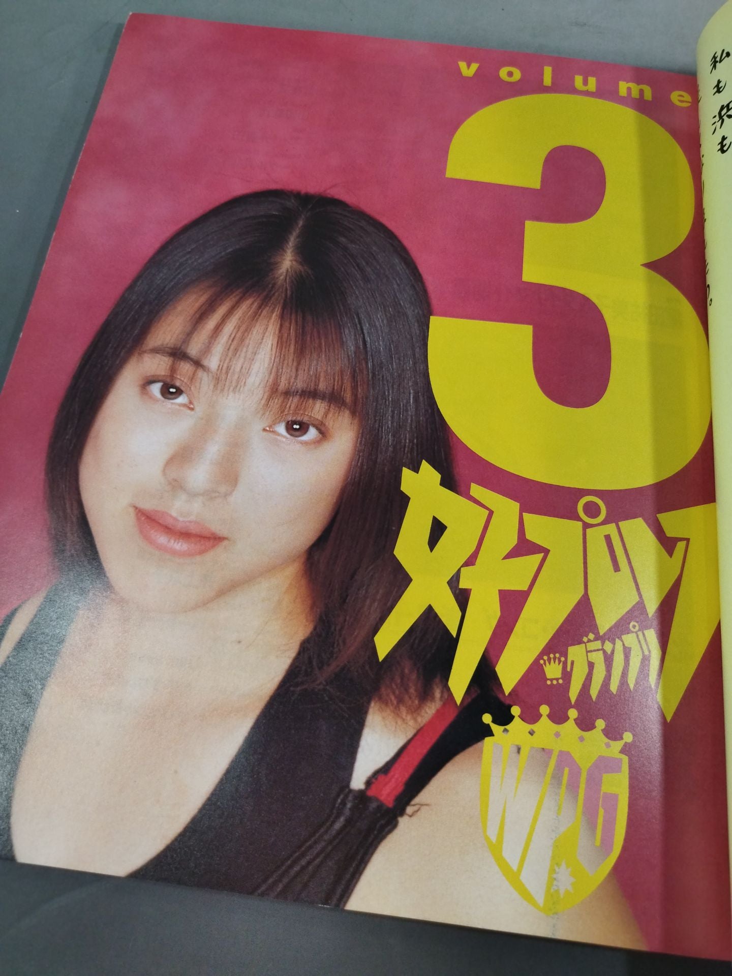 Women's Pro Wrestling Grand Prix Vol.3