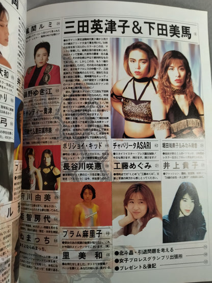 Women's Pro Wrestling Grand Prix Vol.2
