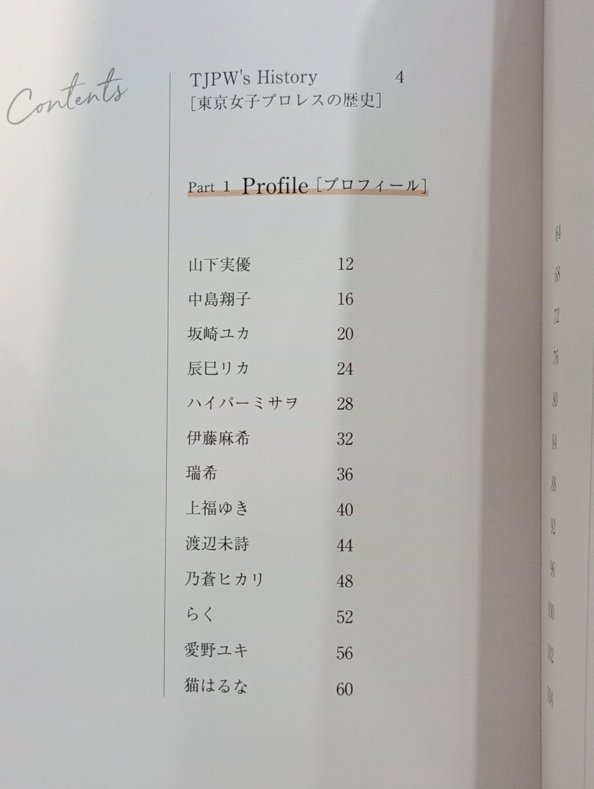 All About TJPW!! Tokyo Joshi Pro Wrestling OFFICIAL "FUN" BOOK 2023
