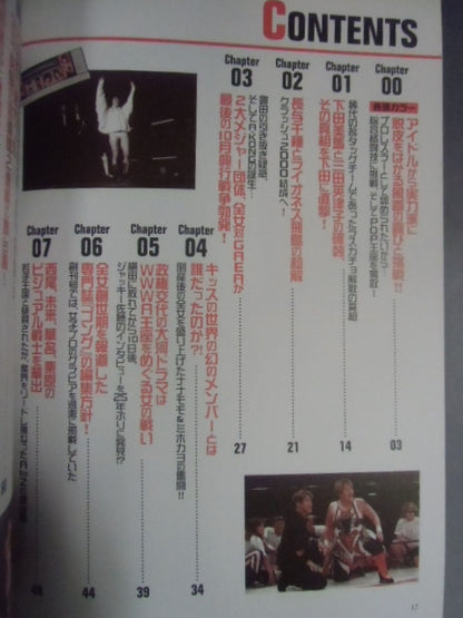 Women's Pro Wrestling  Incident File2