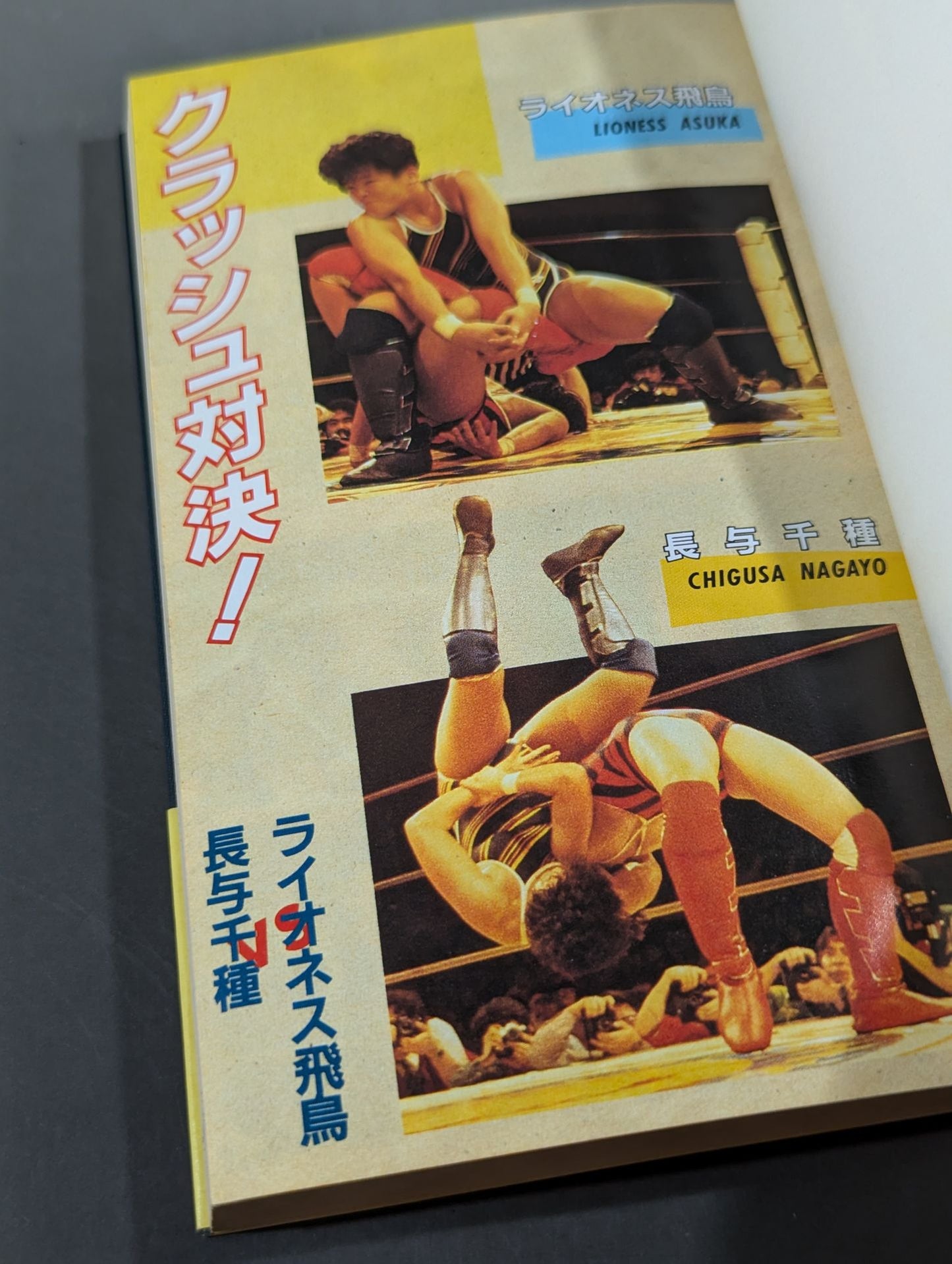 Women's Pro Wrestling Revolution Legend