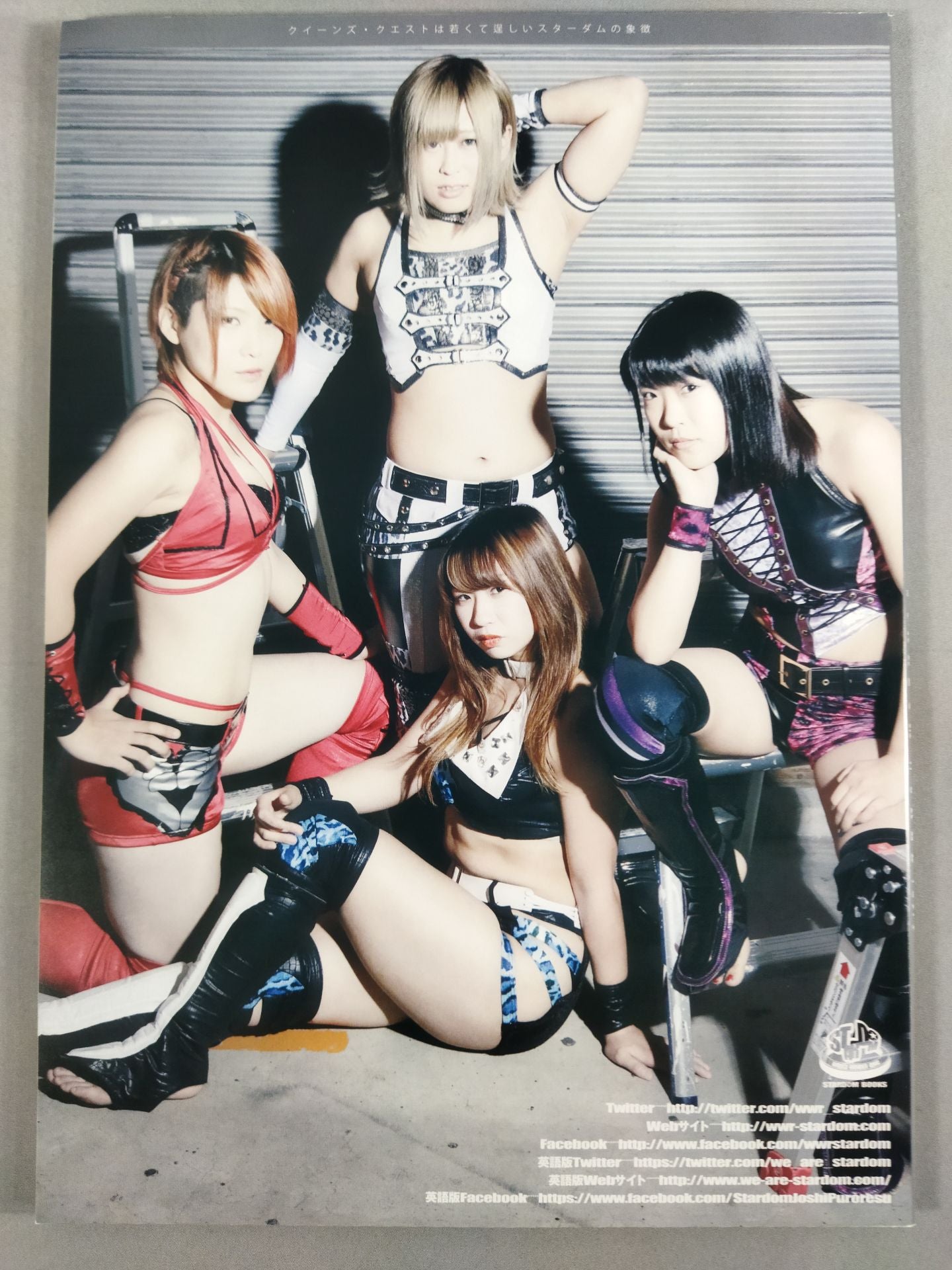 スターダム ☆ フォトブック / STARDOM WORlD Vol.4 Special Photo &Interview Book STARDOM WORLD Vol.4 – 闘道館