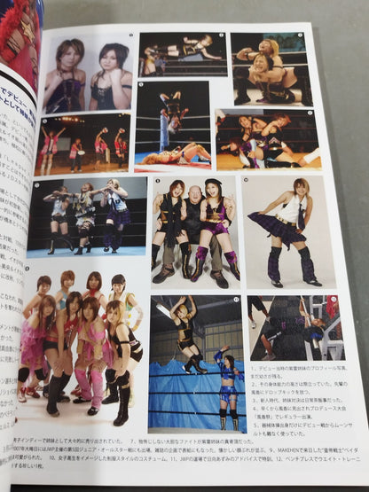 紫雷イオ デビュー10周年記念データブック  逸女白書