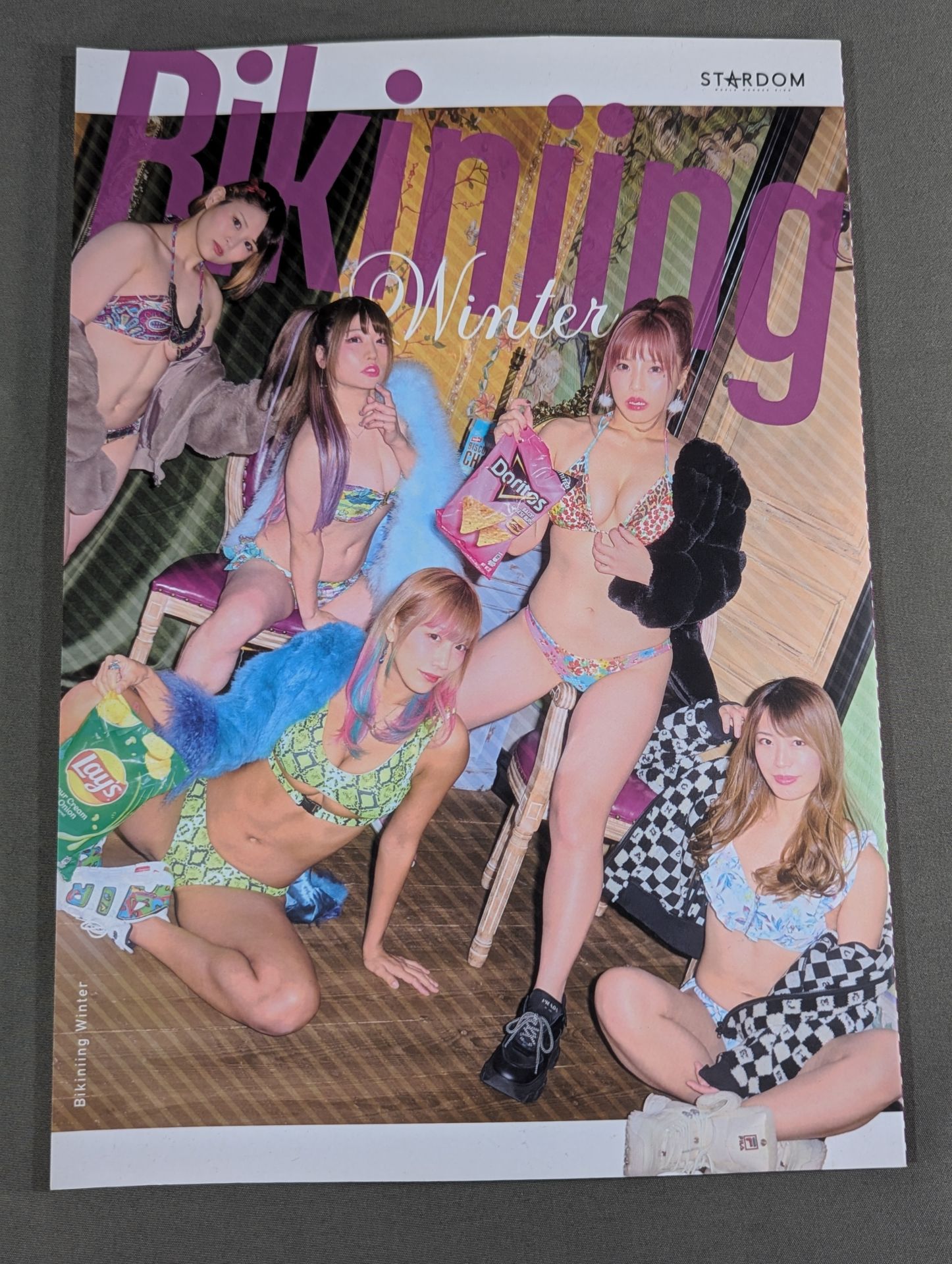 その他 STARDOM bikining winter STARDOM Bikiniing Winter – 闘道館