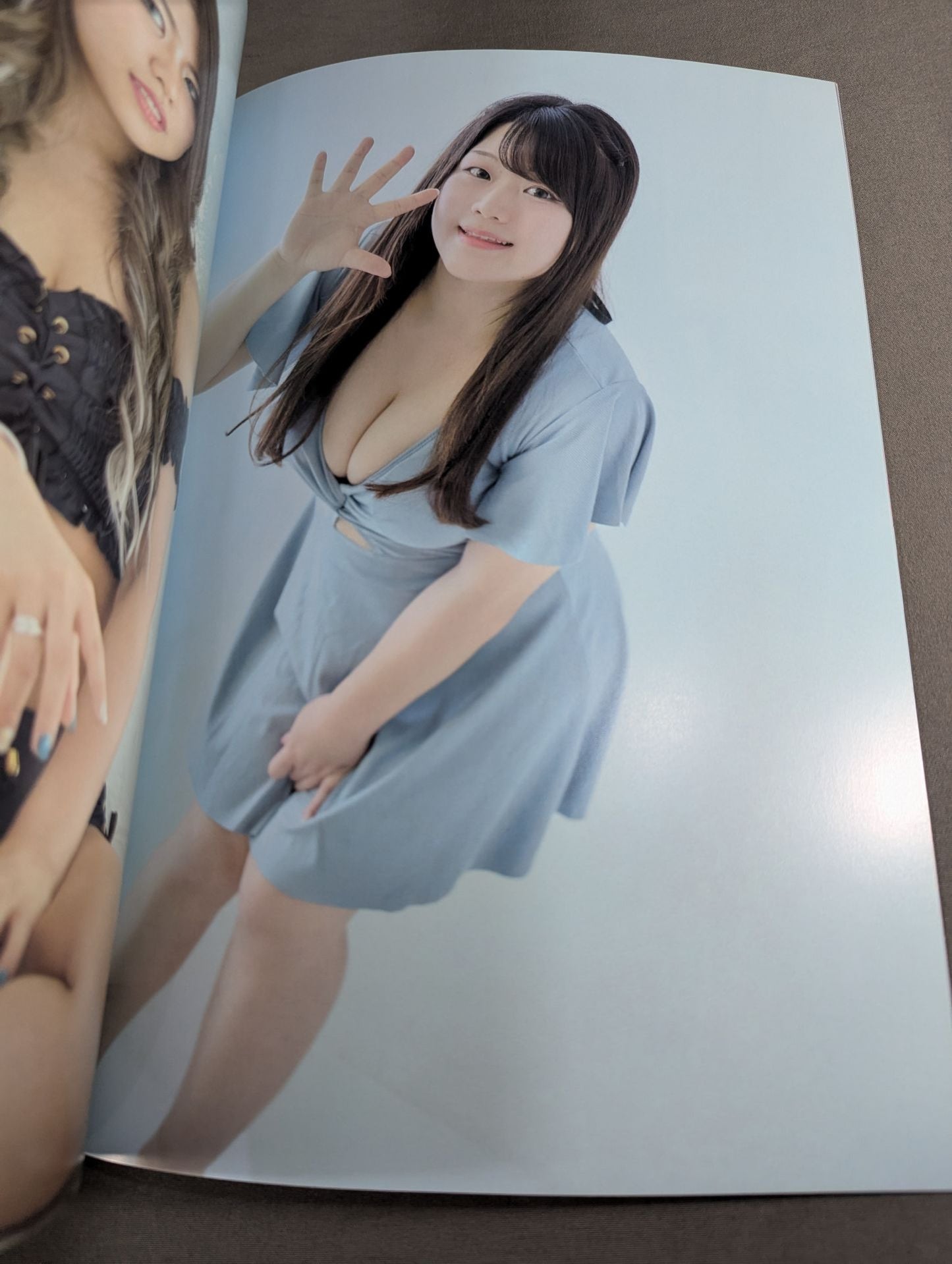STARDOM VISUAL BOOK Bikiniing 11(通常版)