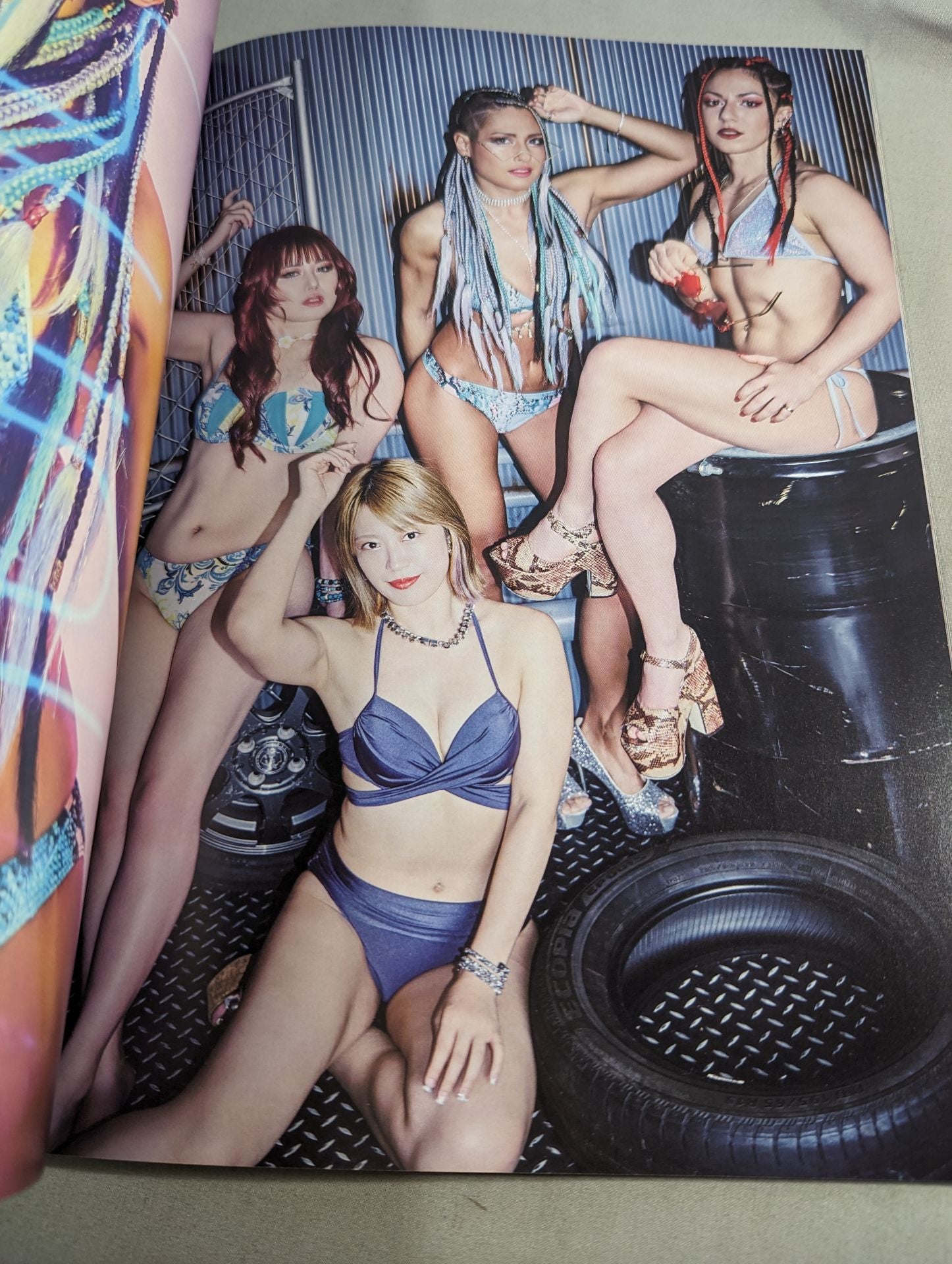 STARDOM VISUAL BOOK Bikiniing 12 – 闘道館