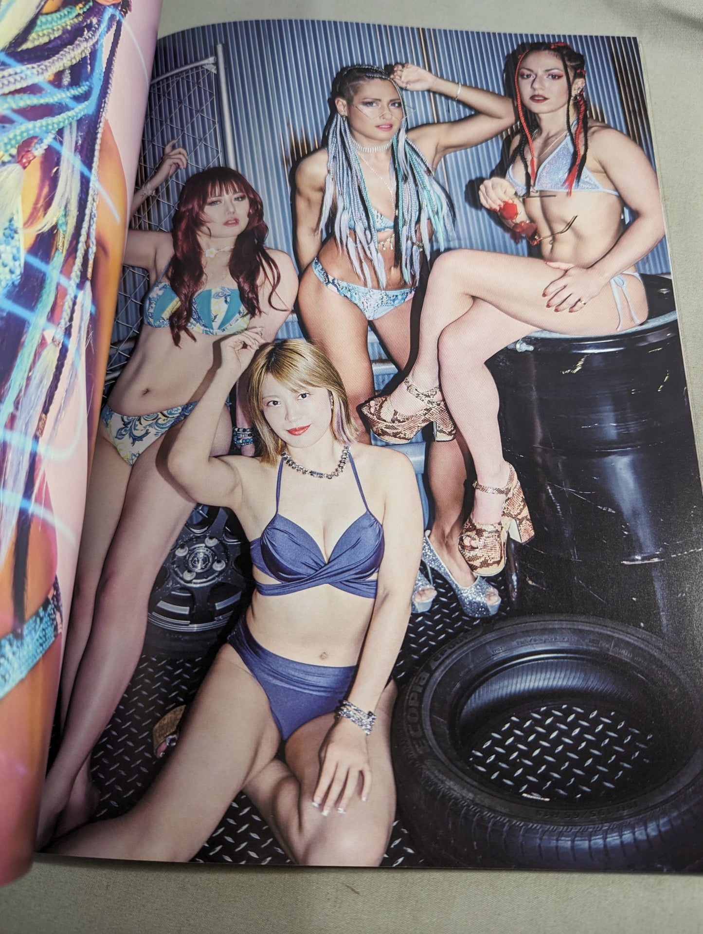 STARDOM VISUAL BOOK Bikiniing 12(通常版)