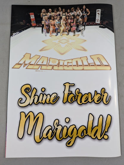 Marigold Premium Portrait Book