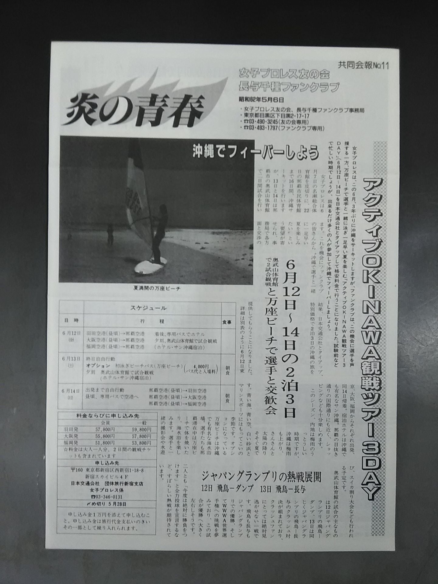Flame Youth No.11