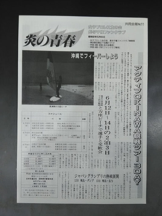 Flame Youth No.11