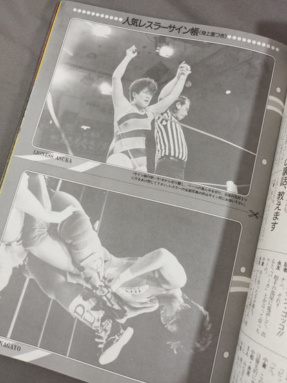 Flame Warrior / Weekly Big Wrestler Special Issue 9.25