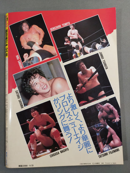 Flame Warrior / Weekly Big Wrestler Special Issue 9.25