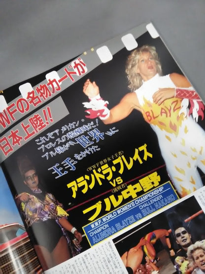 憧夢超女大戦 / BIG EGG WRESTLING UNIVERSE