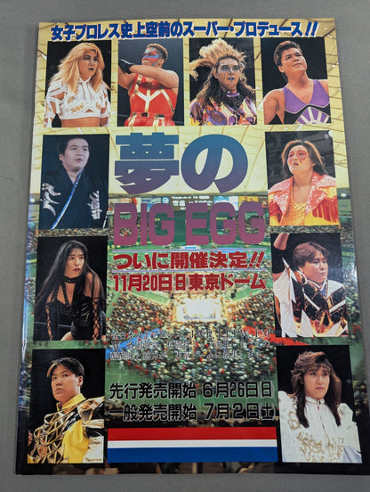 RINGSTAR PROGRAM / 1994 SPRING SPECIAL