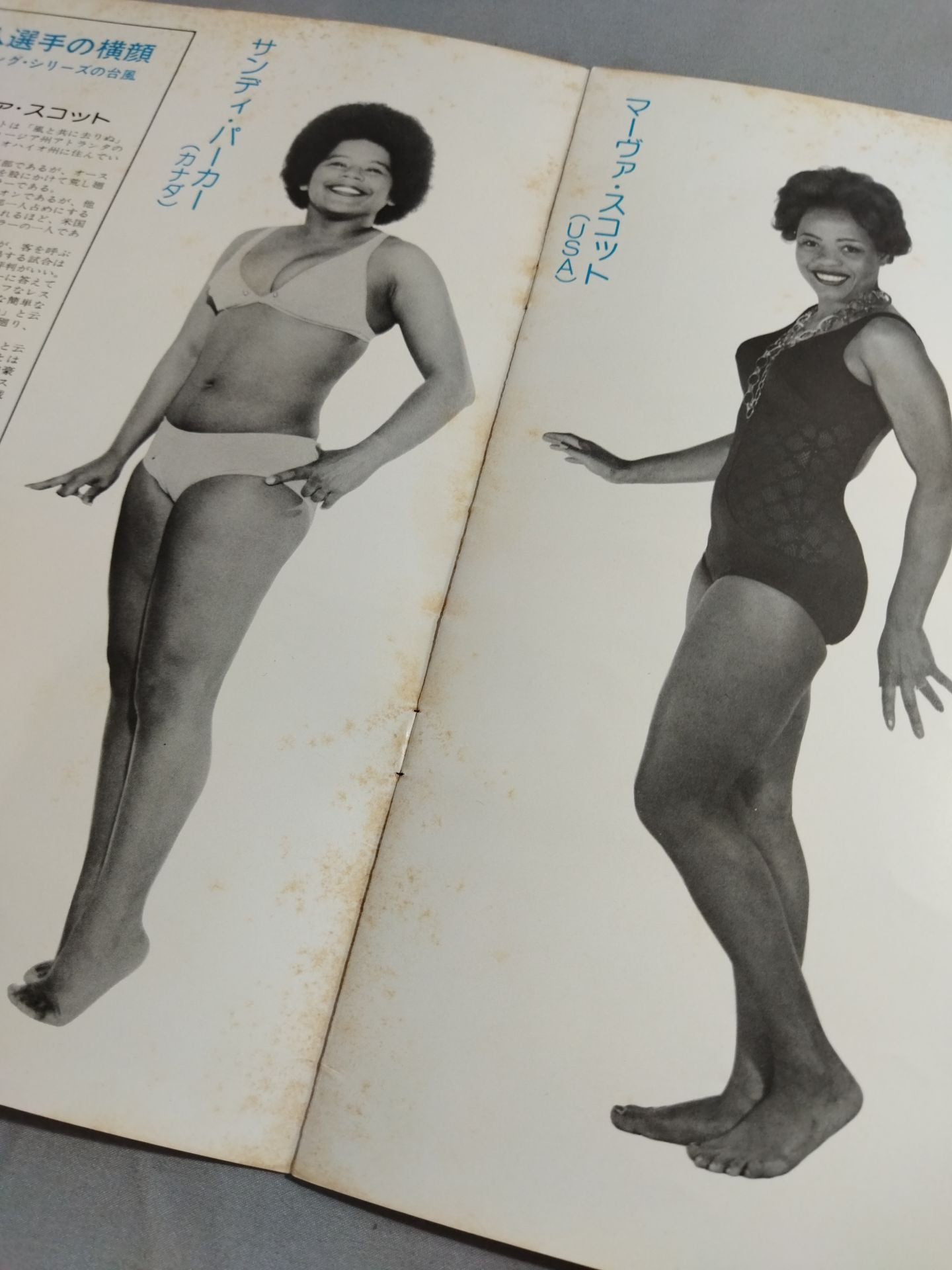 Women's Pro Wrestling 77 Spring Series No.30