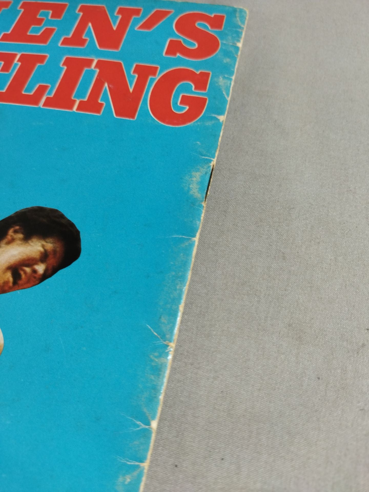 Women's Pro Wrestling 77 Spring Series No.30