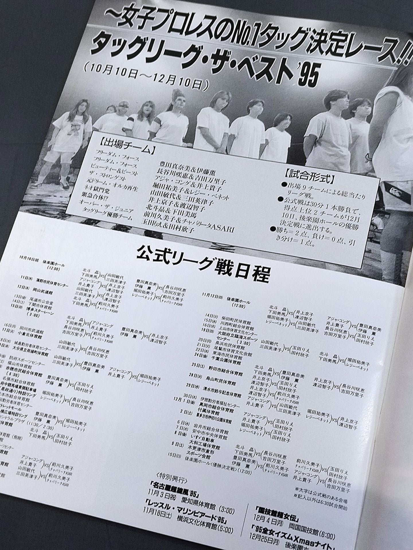RINGSTAR PROGRAM / TAG LEAGUE THE BEST'95 SPECIAL