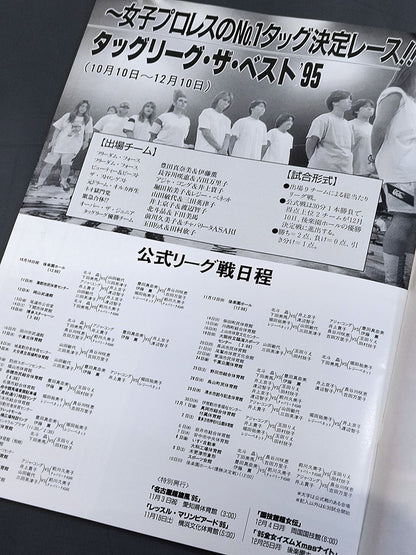 RINGSTAR PROGRAM / TAG LEAGUE THE BEST'95 SPECIAL