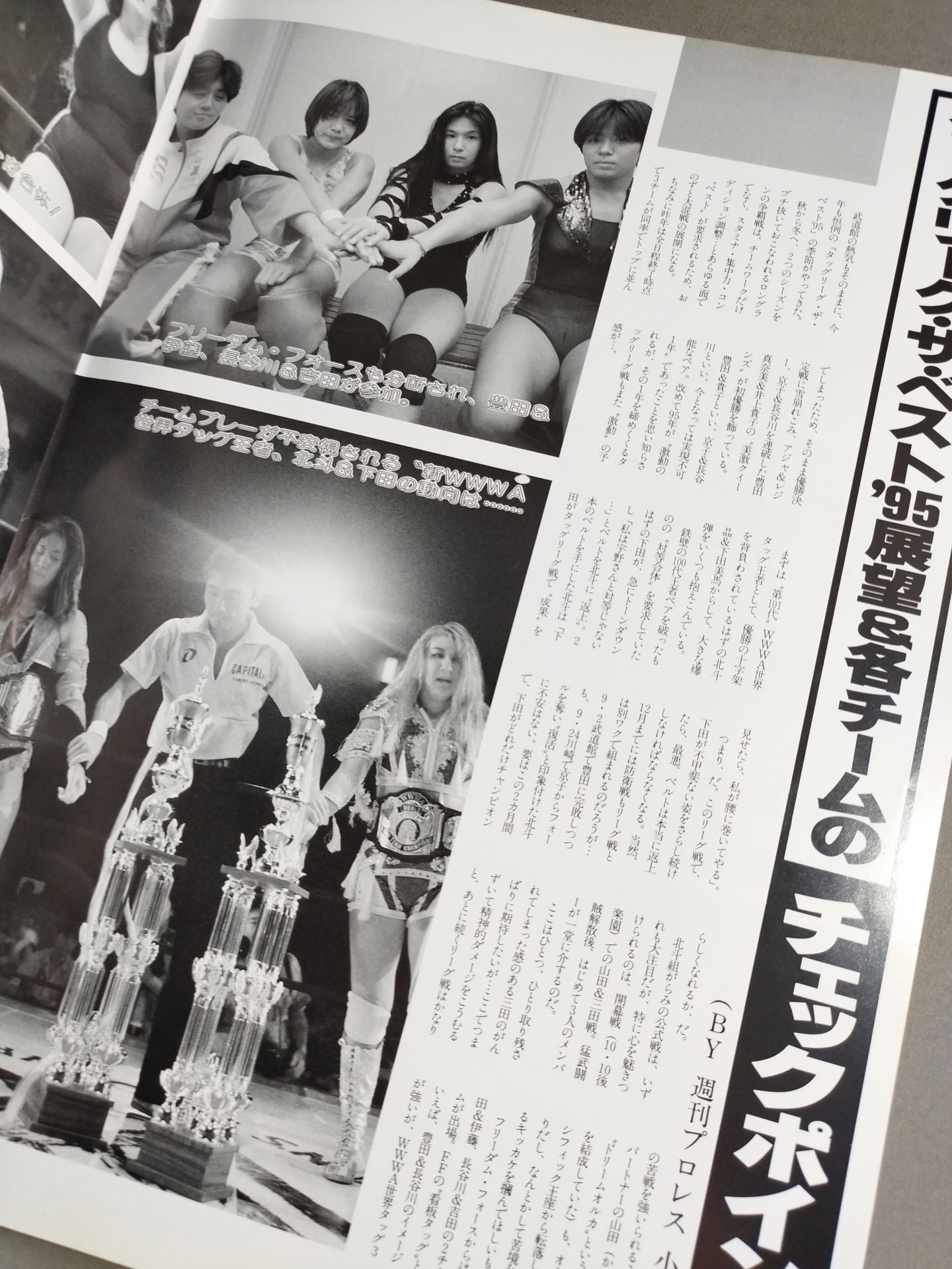 RINGSTAR PROGRAM / TAG LEAGUE THE BEST'95 SPECIAL