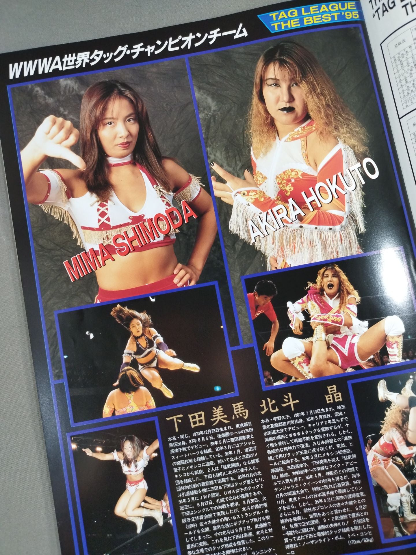 RINGSTAR PROGRAM / TAG LEAGUE THE BEST'95 SPECIAL