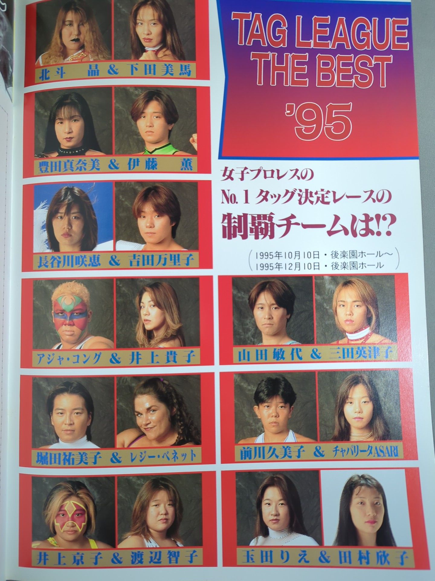 RINGSTAR PROGRAM / TAG LEAGUE THE BEST'95 SPECIAL
