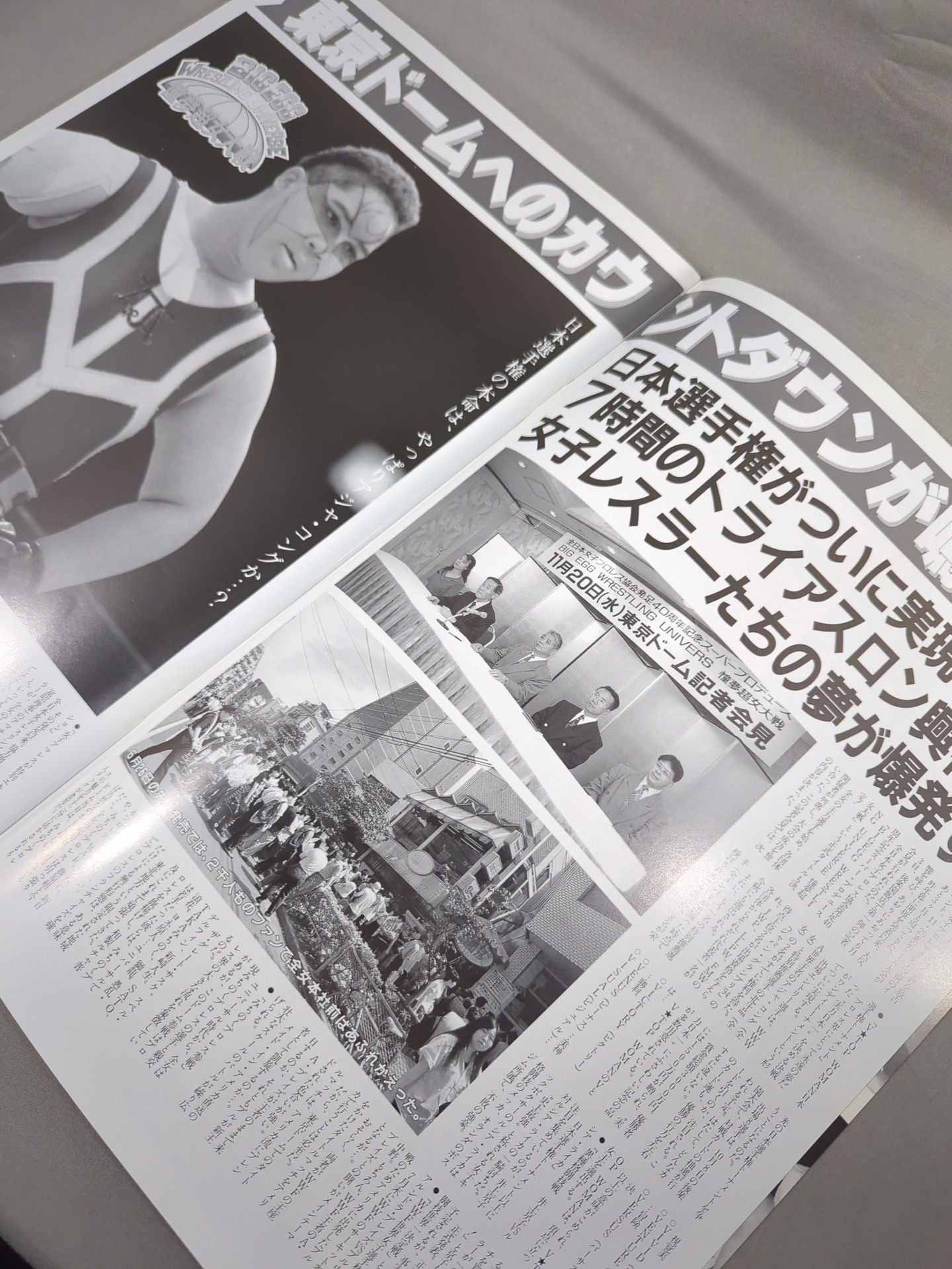 RINGSTER PROGRAM / 1994 AUTUMN SPECIAL