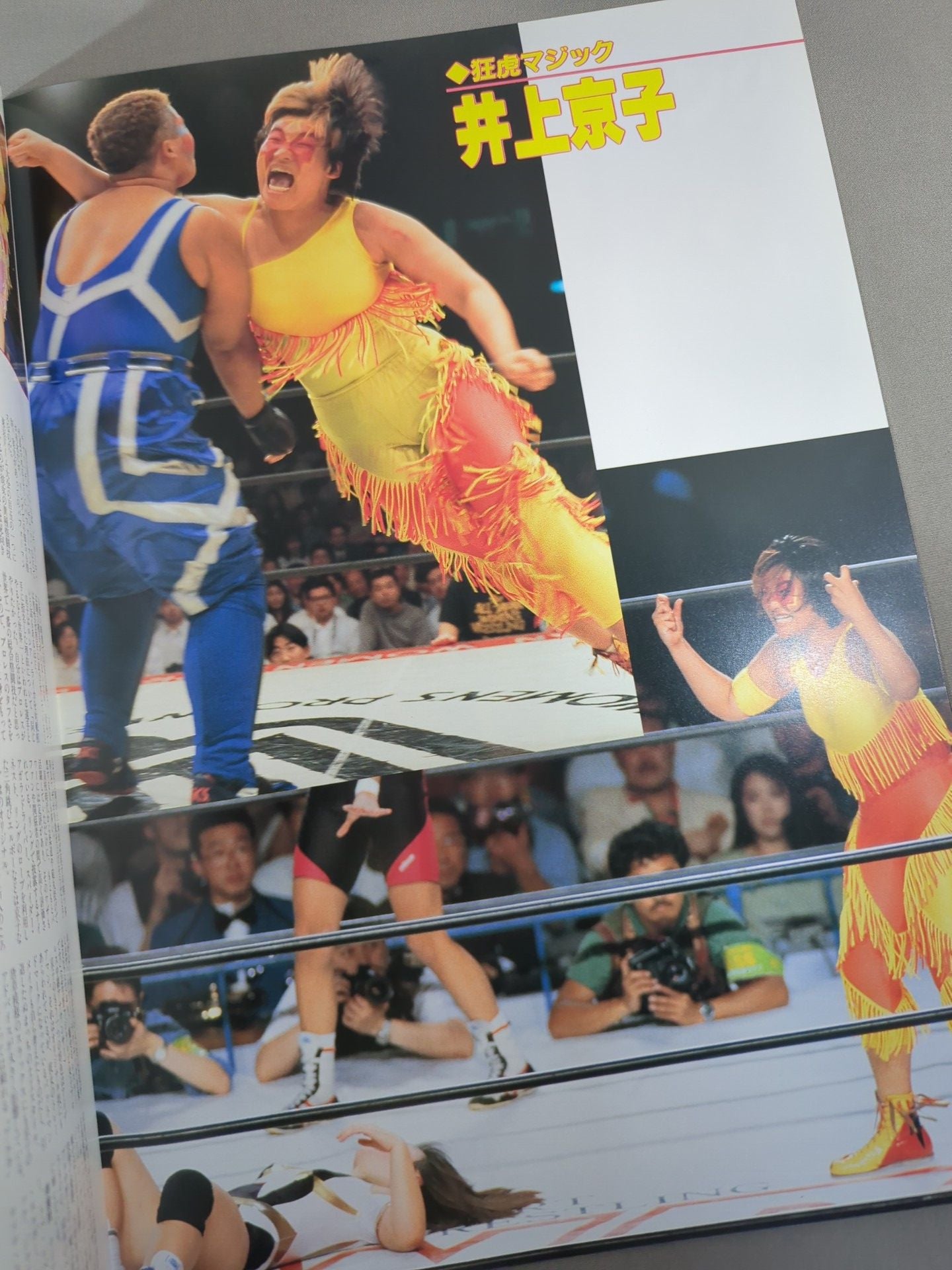 RINGSTER PROGRAM / 1994 AUTUMN SPECIAL