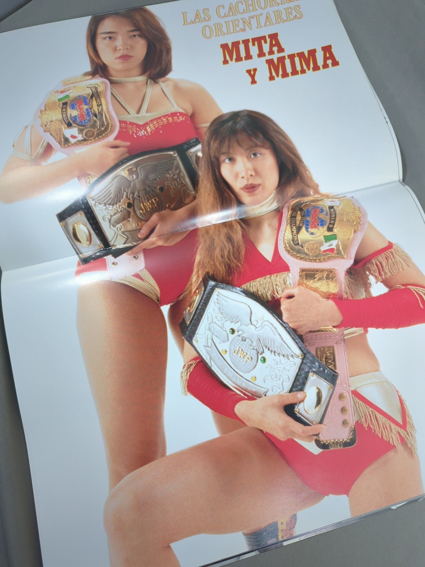 RINGSTER PROGRAM / 1994 AUTUMN SPECIAL