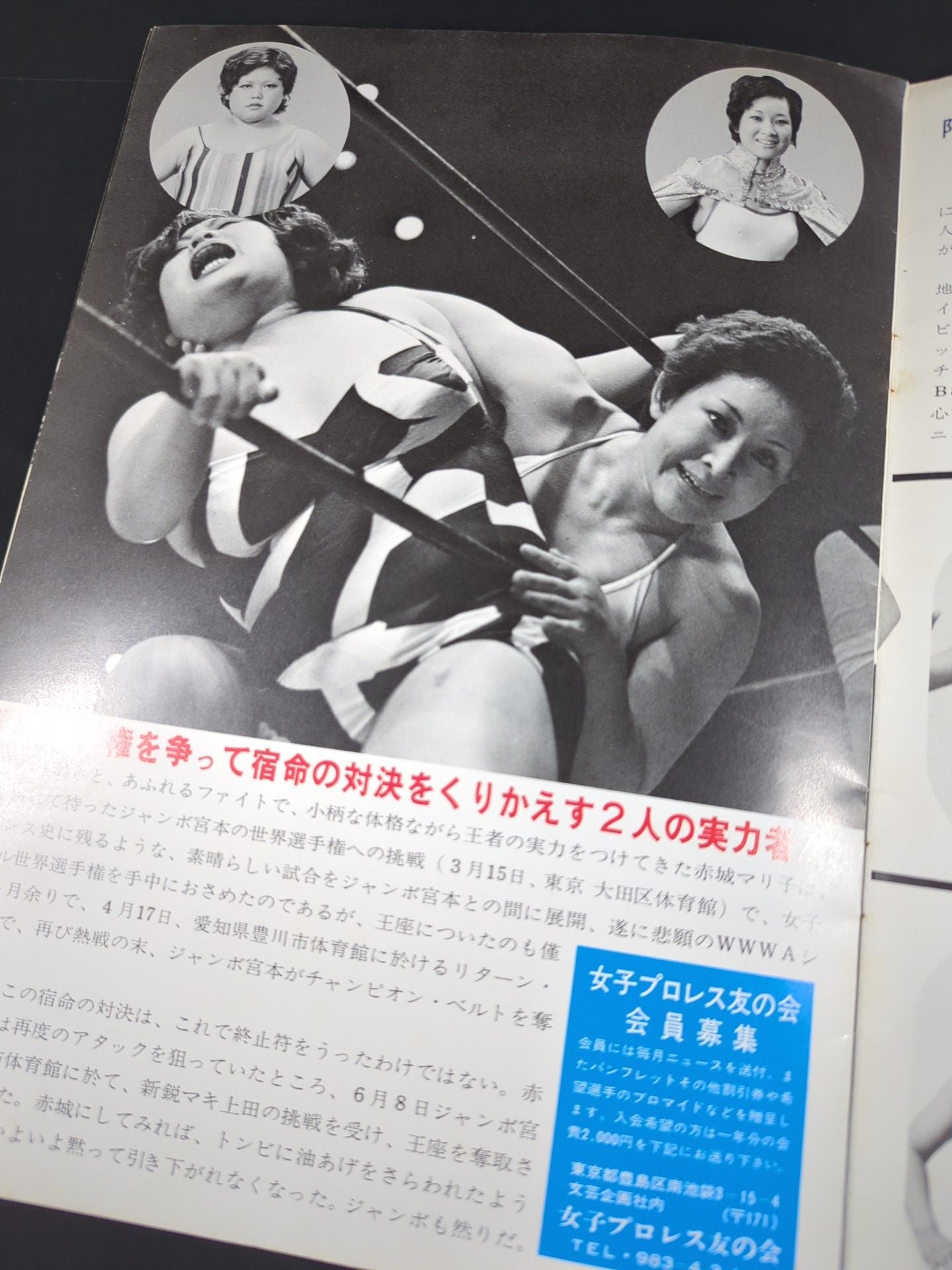 76第2回ワールドリーグ戦(No.27)