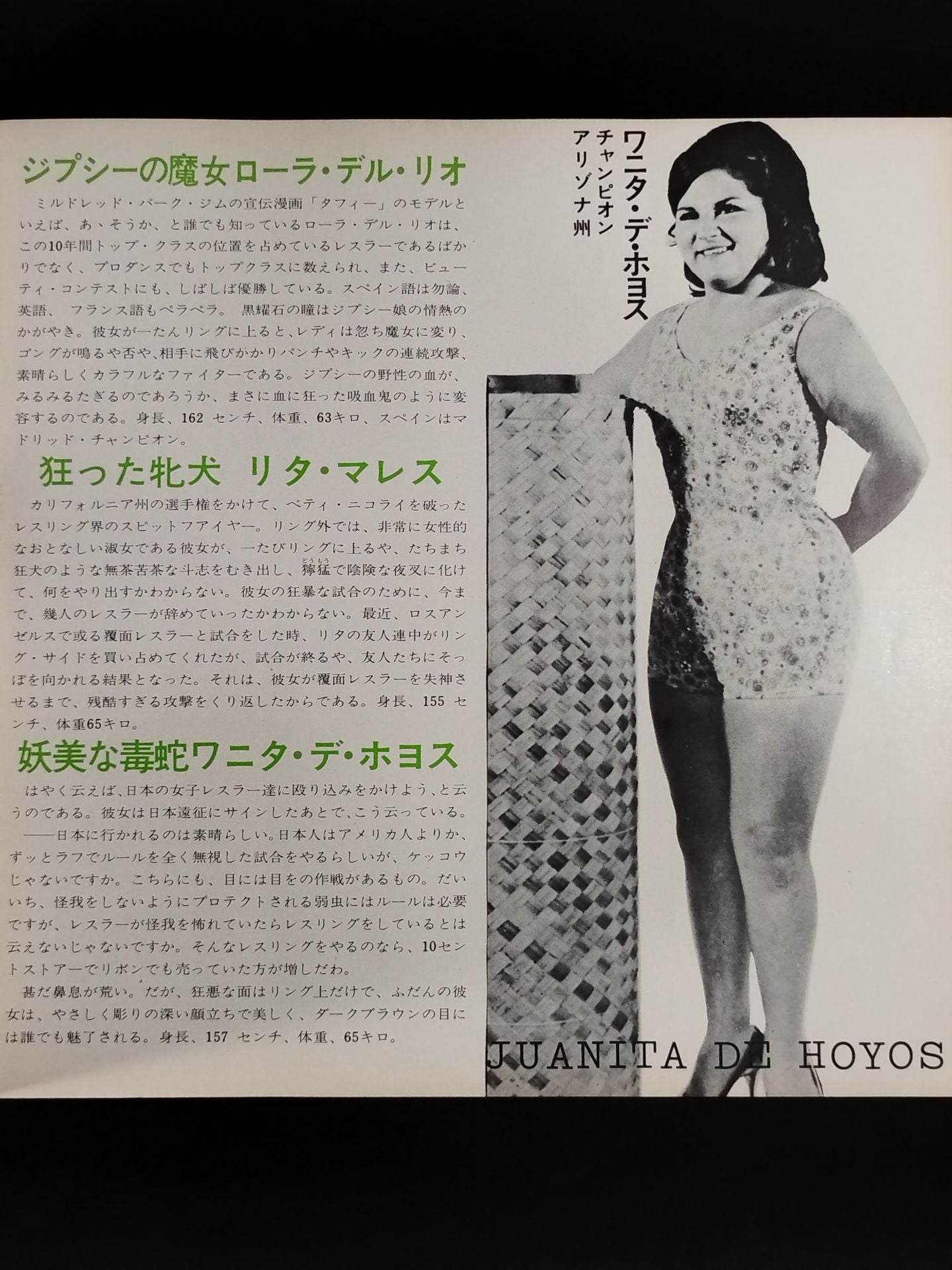 73グリーン・パワー・シリーズ / 全日本女子プロレス 1973年 No.4 – 闘道館
