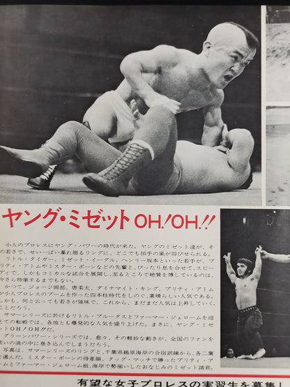 73グリーン・パワー・シリーズ / 全日本女子プロレス 1973年 No.4