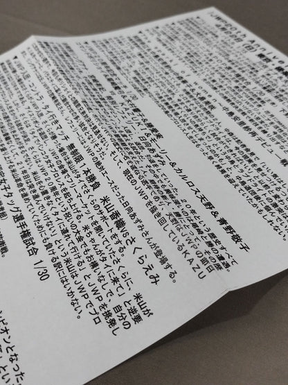 【ラビット美兎 直筆サイン入り】JWP / オフィシャルパンフレット2012 Vol.7