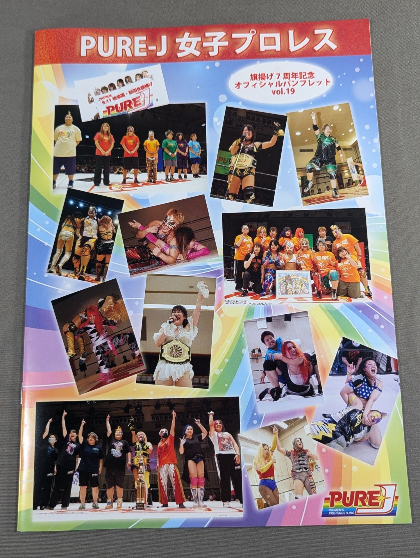 PURE-J Women's Pro Wrestling  Official Brochure vol.19