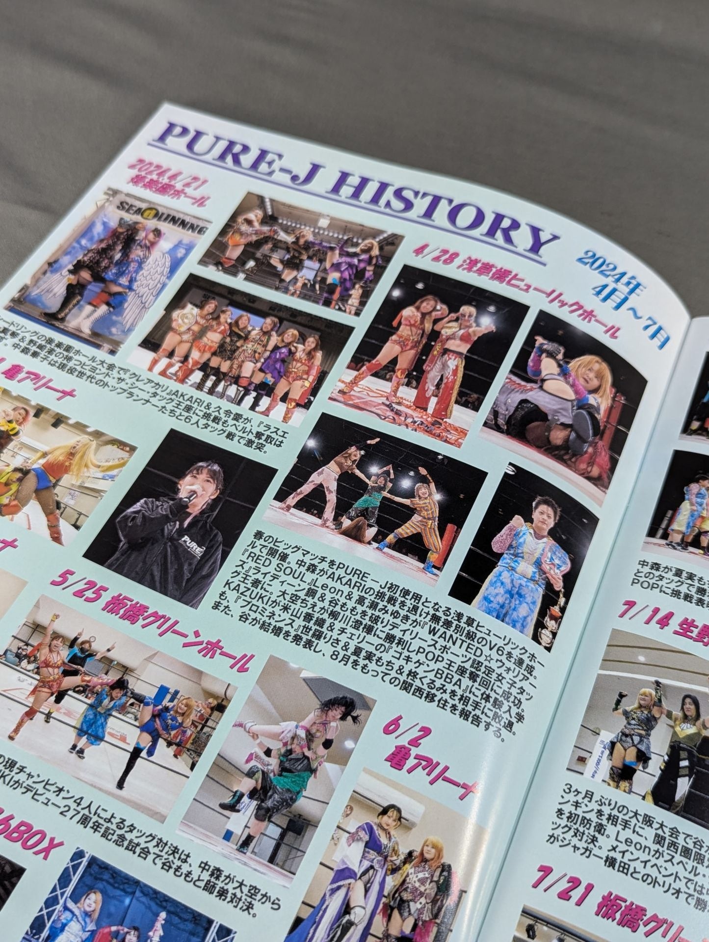 PURE-J Women's Pro Wrestling  Official Brochure vol.19