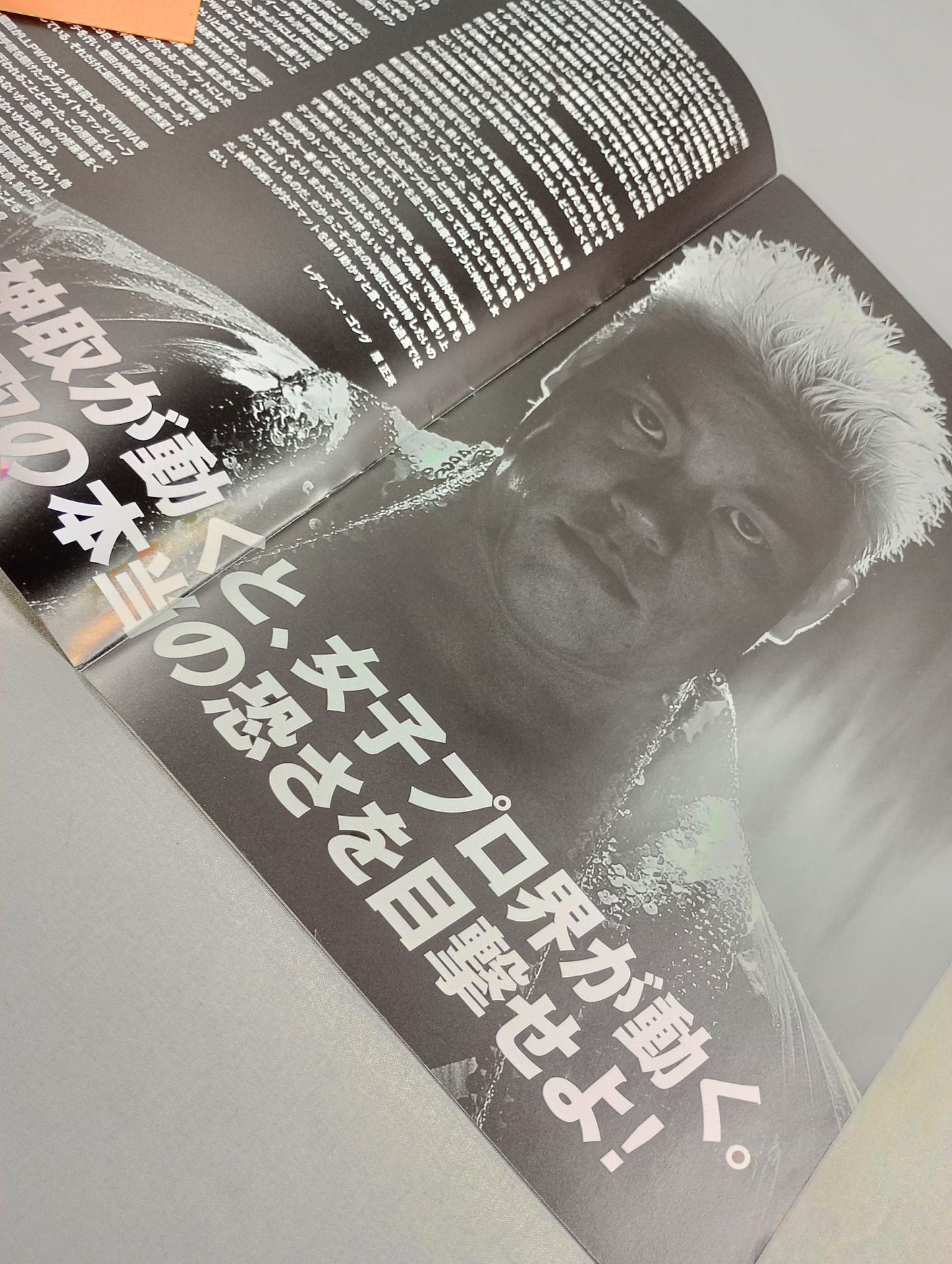 LLPW / Official Guide(1998)
