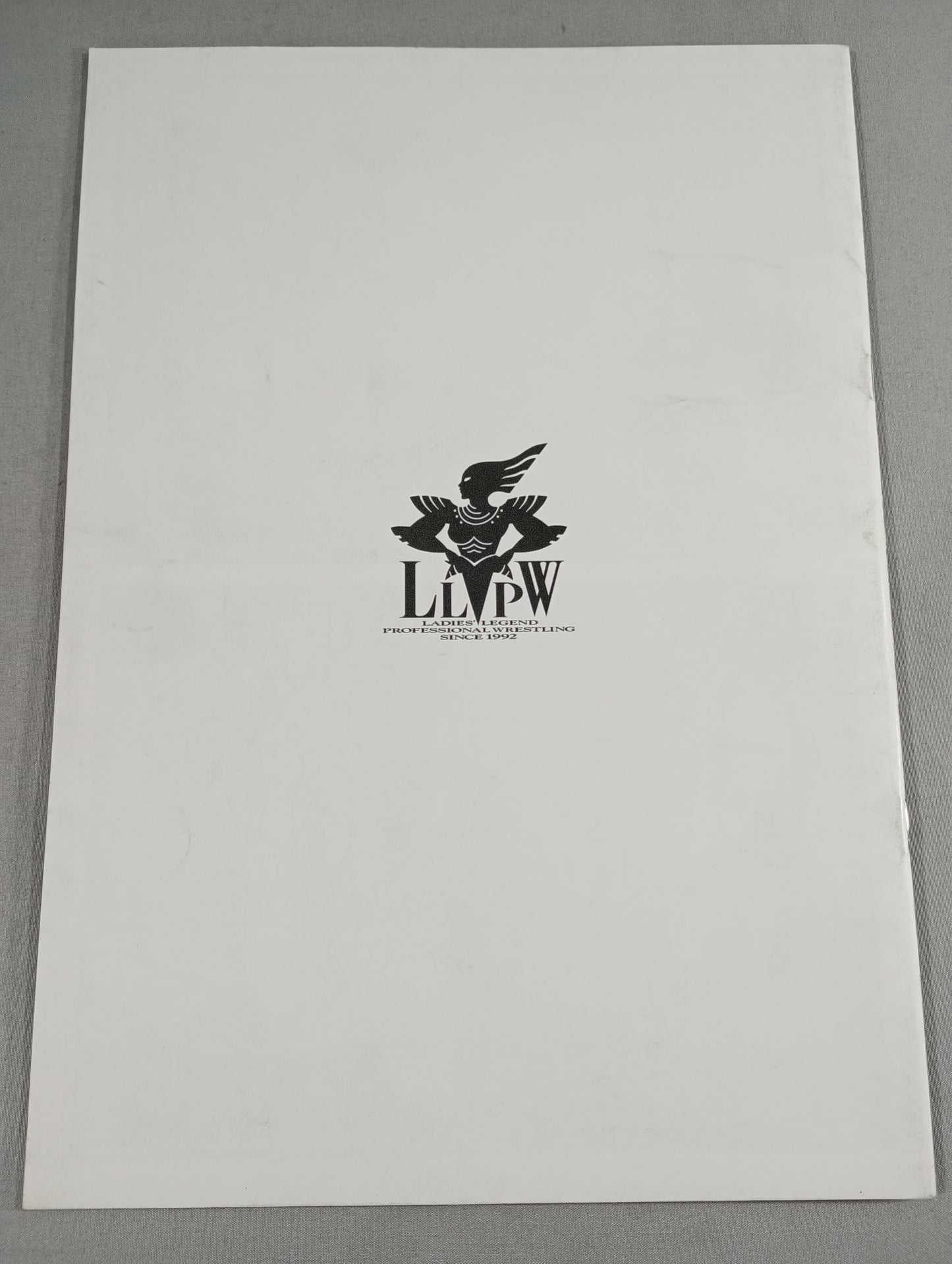 LLPW / Official Guide(1998)
