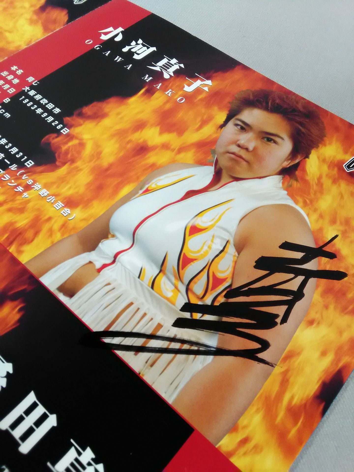 【3選手直筆サイン入り】LLPW / 2003 OFFICIAL GUIDE BOOK