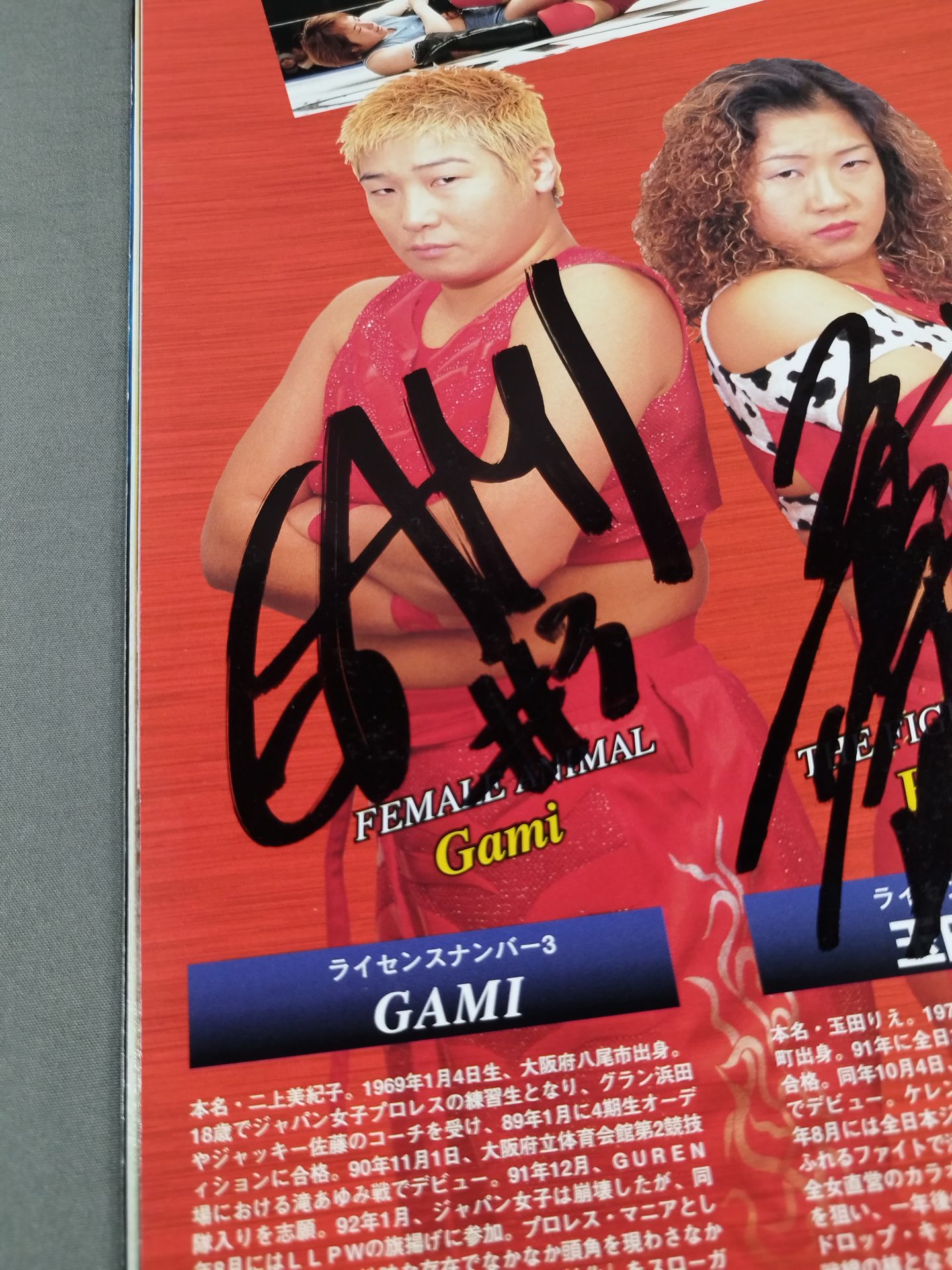[3 fighters hand signed autograph ARSION  Official Guidebook Vol.15